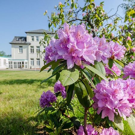 Hotel Siegmar Im Geschaftshaus Хемніц Екстер'єр фото