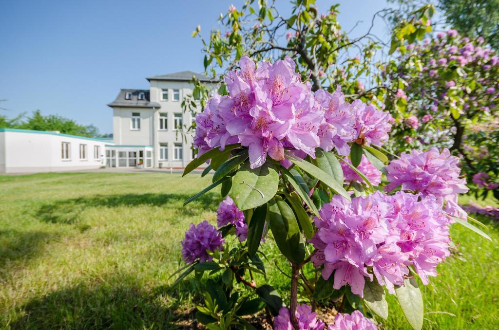 Hotel Siegmar Im Geschaftshaus Хемніц Екстер'єр фото